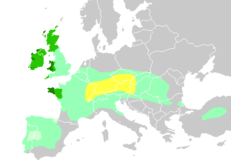 Celtic languages